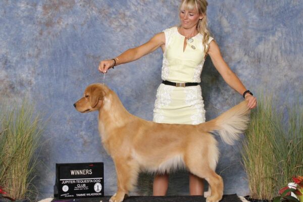 WhatsApp Image 2023-02-09 at 11.23.25 AM