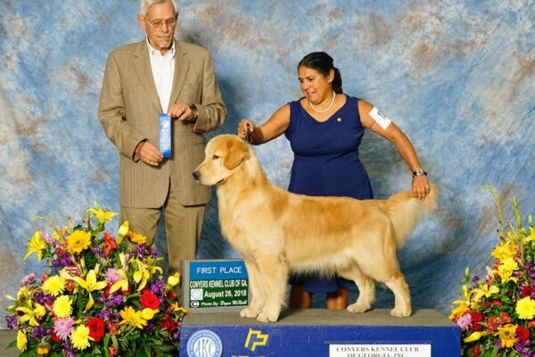 WhatsApp Image 2023-02-09 at 11.25.12 AM WhatsApp Image 2023-02-09 at 11.25.12 AM