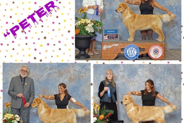 WhatsApp Image 2023-02-13 at 9.24.05 PM (1) WhatsApp Image 2023-02-13 at 9.24.05 PM (1)