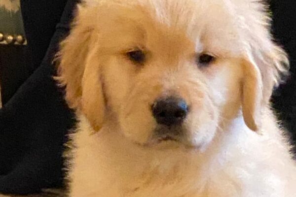 WhatsApp Image 2023-02-13 at 9.24.05 PM (2) WhatsApp Image 2023-02-13 at 9.24.05 PM (2)