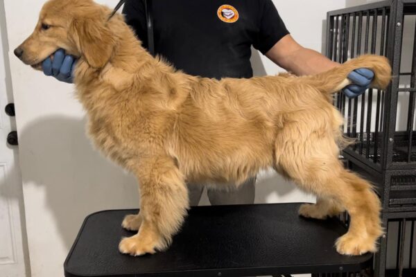 WhatsApp Image 2023-02-13 at 9.24.06 PM (1) WhatsApp Image 2023-02-13 at 9.24.06 PM (1)