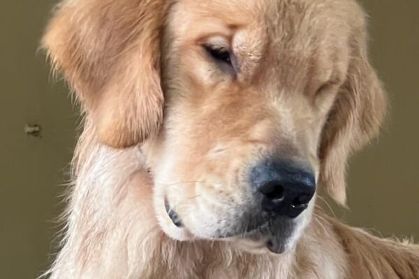 WhatsApp Image 2023-02-13 at 9.24.06 PM (3) WhatsApp Image 2023-02-13 at 9.24.06 PM (3)