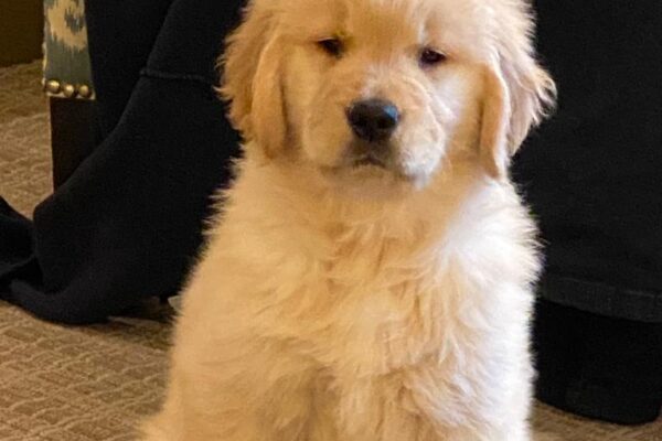 WhatsApp Image 2023-02-13 at 9.24.06 PM WhatsApp Image 2023-02-13 at 9.24.06 PM