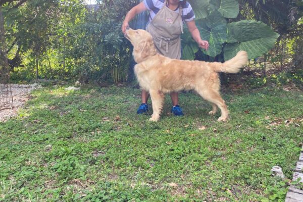 WhatsApp Image 2023-02-13 at 9.26.42 PM (1) WhatsApp Image 2023-02-13 at 9.26.42 PM (1)