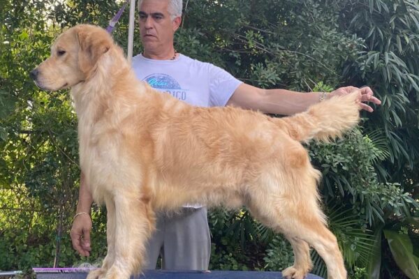 WhatsApp Image 2023-02-13 at 9.26.42 PM WhatsApp Image 2023-02-13 at 9.26.42 PM