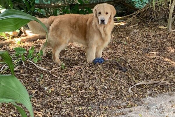 WhatsApp Image 2023-02-13 at 9.26.43 PM WhatsApp Image 2023-02-13 at 9.26.43 PM