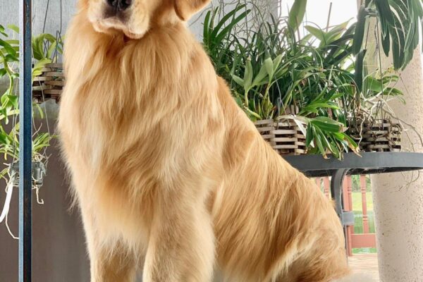 WhatsApp Image 2023-02-13 at 9.56.01 PM WhatsApp Image 2023-02-13 at 9.56.01 PM