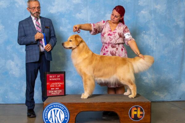 WhatsApp Image 2023-02-14 at 9.17.24 AM (1)