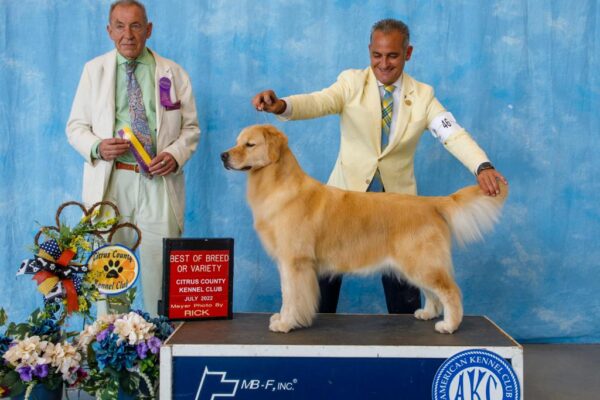 WhatsApp Image 2023-02-14 at 9.17.24 AM (12)