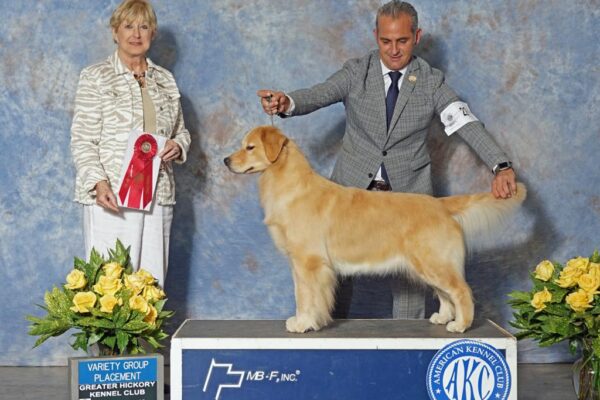 WhatsApp Image 2023-02-14 at 9.17.24 AM (13)