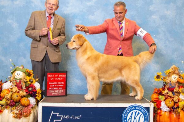 WhatsApp Image 2023-02-14 at 9.17.24 AM (16)