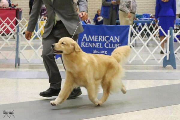 WhatsApp Image 2023-02-14 at 9.17.24 AM (3)