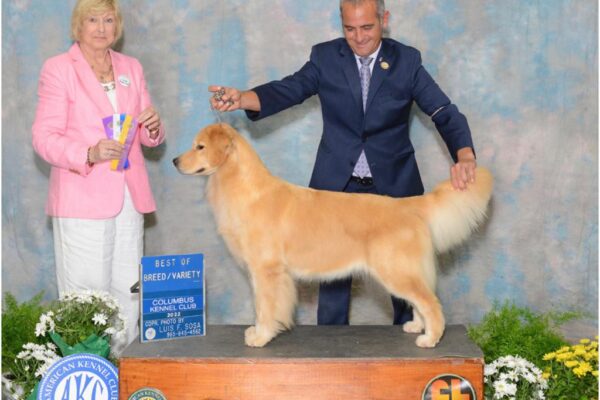 WhatsApp Image 2023-02-14 at 9.17.24 AM (6)