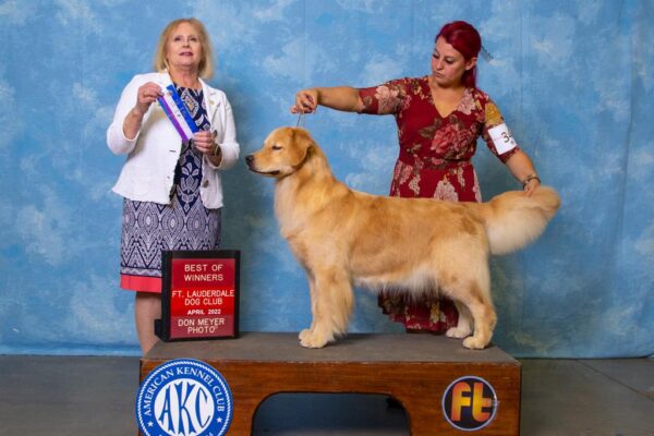 WhatsApp Image 2023-02-14 at 9.17.24 AM