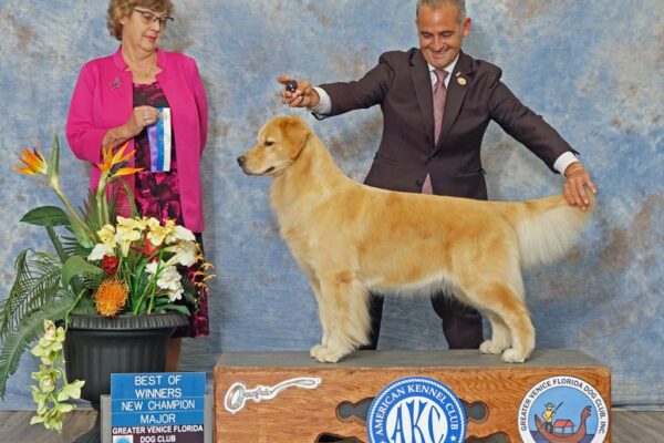 WhatsApp Image 2023-02-14 at 9.17.24 AM (7)