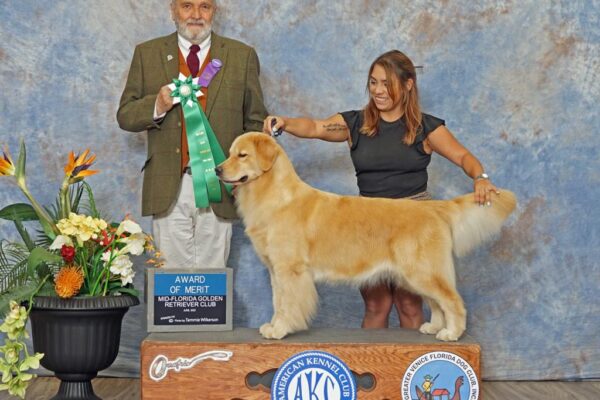 WhatsApp Image 2023-02-14 at 9.17.24 AM (9)