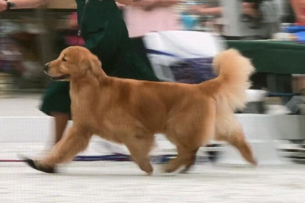 WhatsApp Image 2023-02-16 at 9.07.50 AM (2) WhatsApp Image 2023-02-16 at 9.07.50 AM (2)