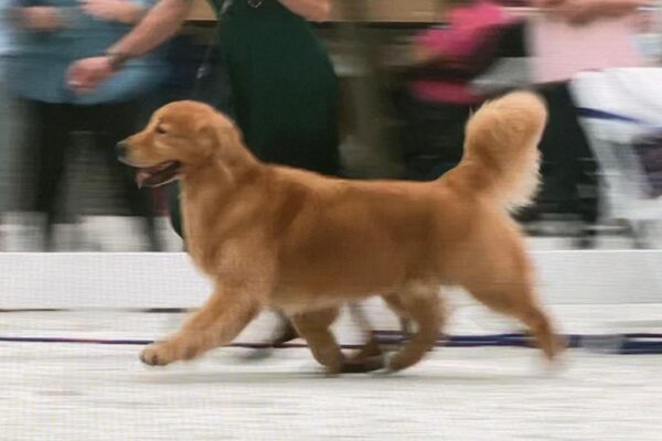 WhatsApp Image 2023-02-16 at 9.07.50 AM (3) WhatsApp Image 2023-02-16 at 9.07.50 AM (3)