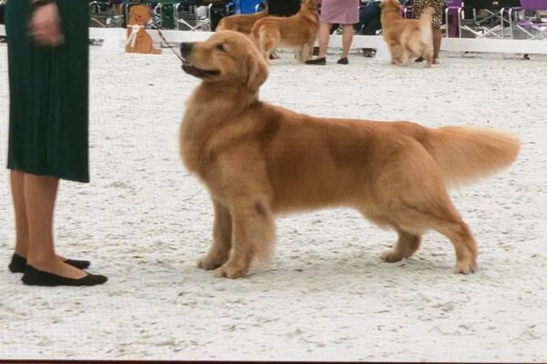 WhatsApp Image 2023-02-16 at 9.07.50 AM (4) WhatsApp Image 2023-02-16 at 9.07.50 AM (4)