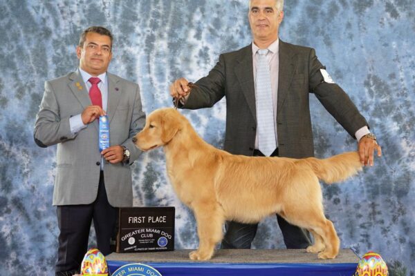 WhatsApp Image 2023-02-16 at 9.07.50 AM (5) WhatsApp Image 2023-02-16 at 9.07.50 AM (5)