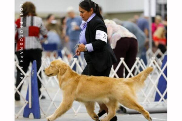 WhatsApp Image 2023-02-16 at 9.07.50 AM (7) WhatsApp Image 2023-02-16 at 9.07.50 AM (7)