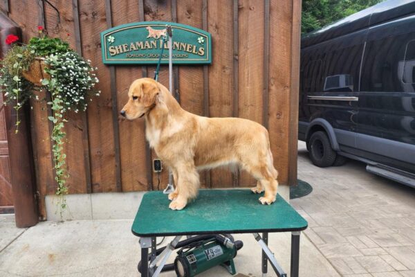 WhatsApp Image 2023-02-16 at 9.20.59 AM (1)