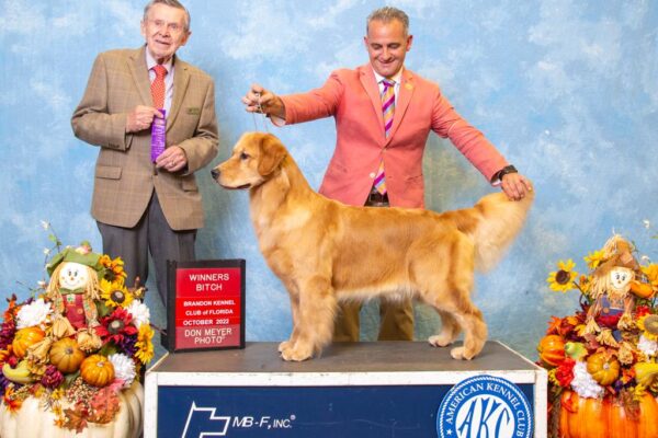 WhatsApp Image 2023-02-16 at 9.20.59 AM (3)