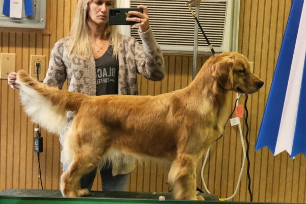 WhatsApp Image 2023-02-16 at 9.20.59 AM